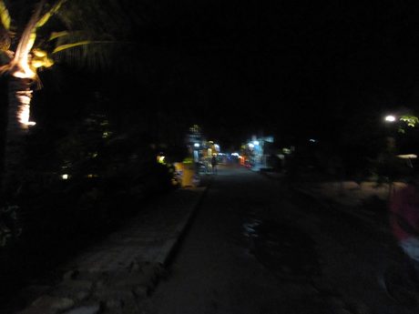 Photo 417